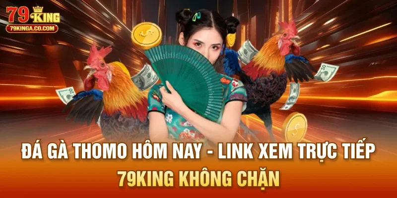 Đá Gà Thomo Hôm Nay – Link Xem Trực Tiếp 79King Không Chặn